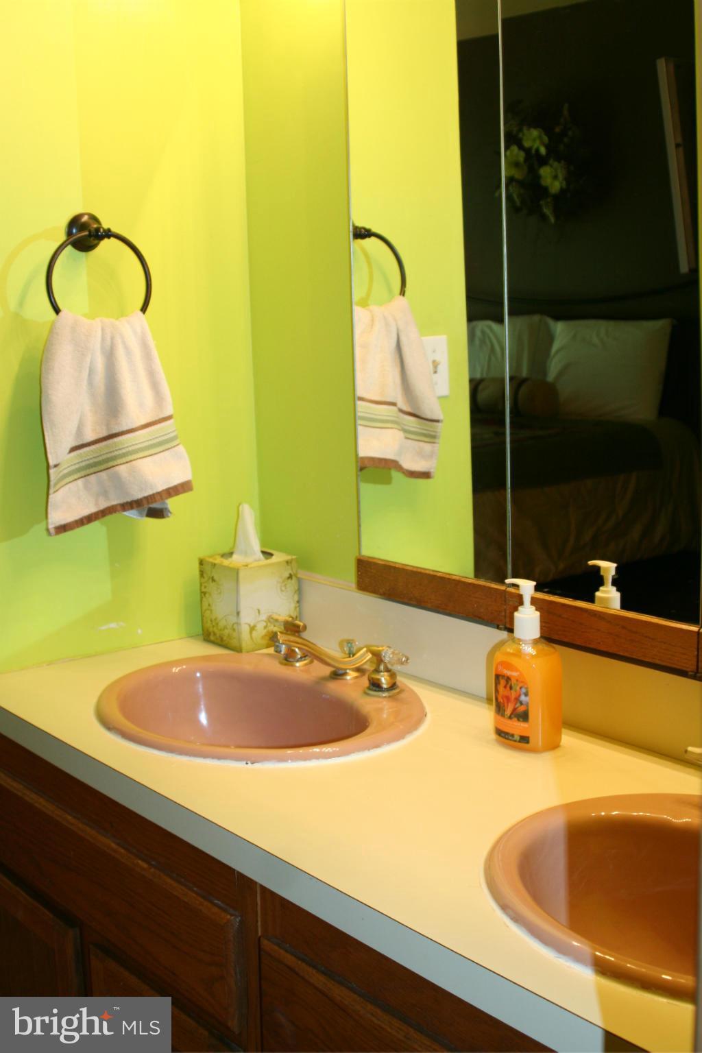 3807 Justin Road Monkton, MD 21111 - Photo 15 of 30 Bath (Master)