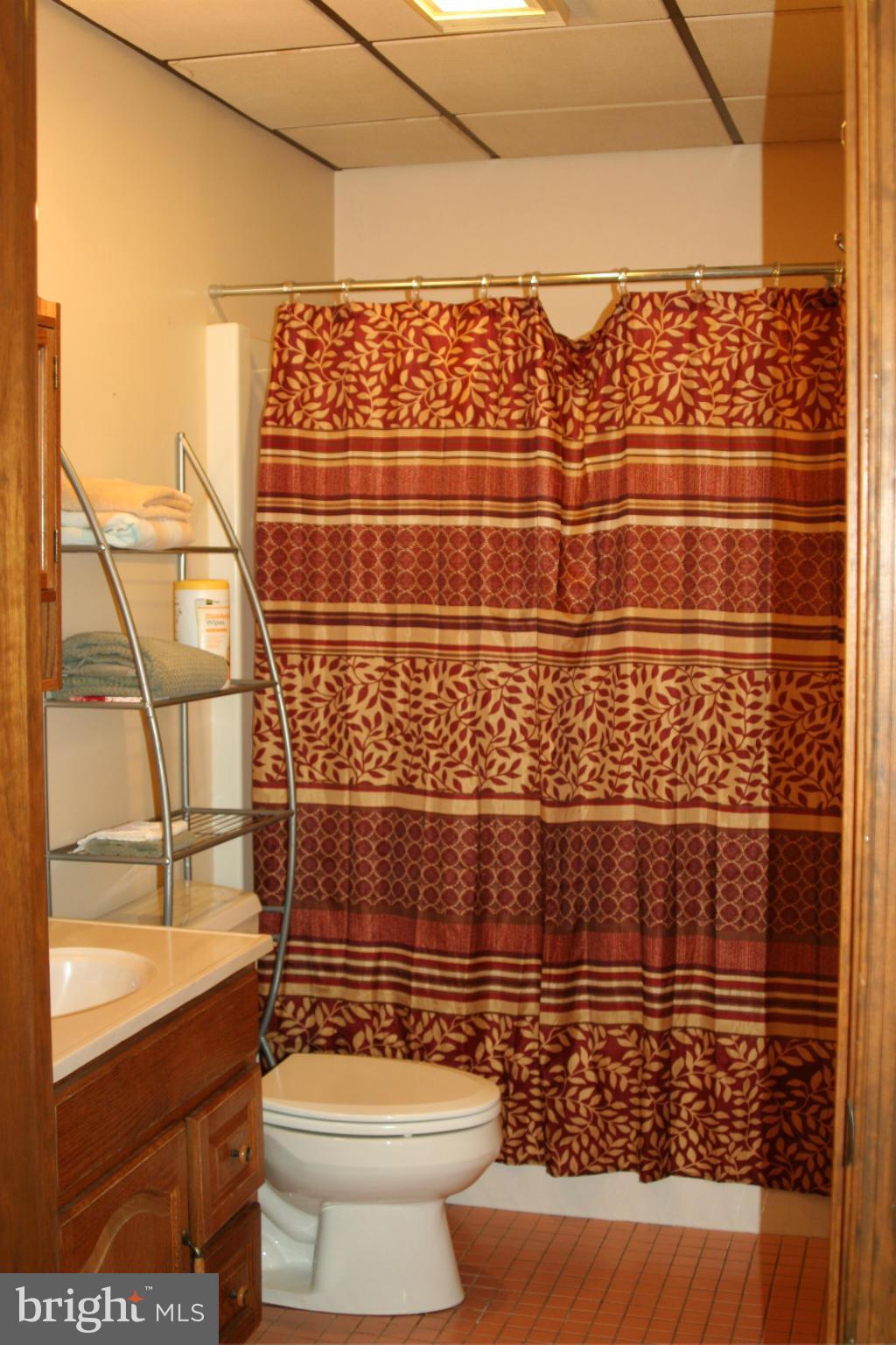 3807 Justin Road Monkton, MD 21111 - Photo 21 of 30 Lower level full bath
