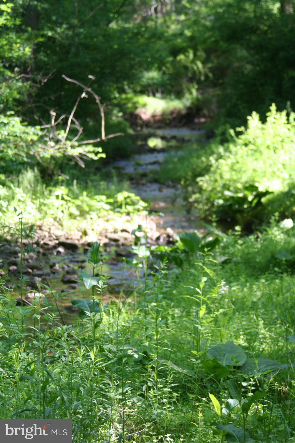 3807 Justin Road Monkton, MD 21111 - Photo 28 of 30 stream