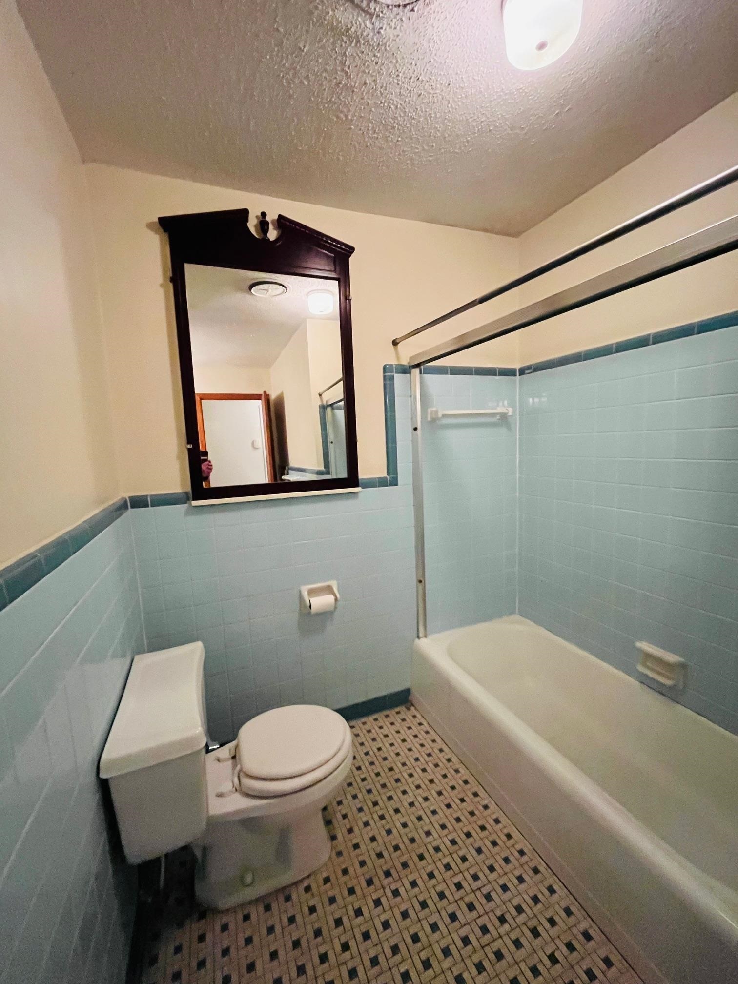 6702 Raleigh Millington Road Millington, TN 38053 - Photo 12 of 20 a bathroom with a toilet a sink and bathtub