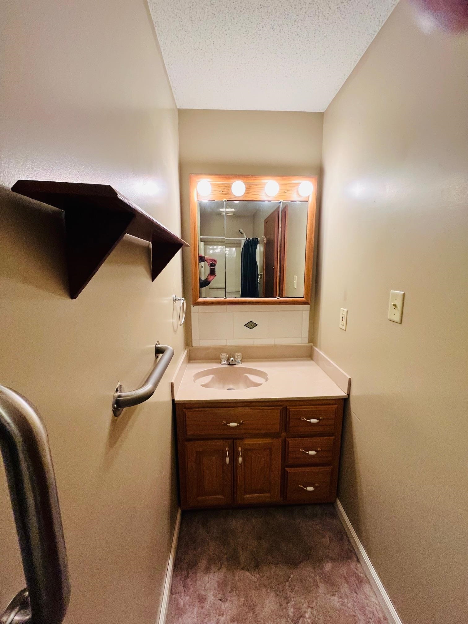 6702 Raleigh Millington Road Millington, TN 38053 - Photo 13 of 20 a bathroom with a sink and a mirror