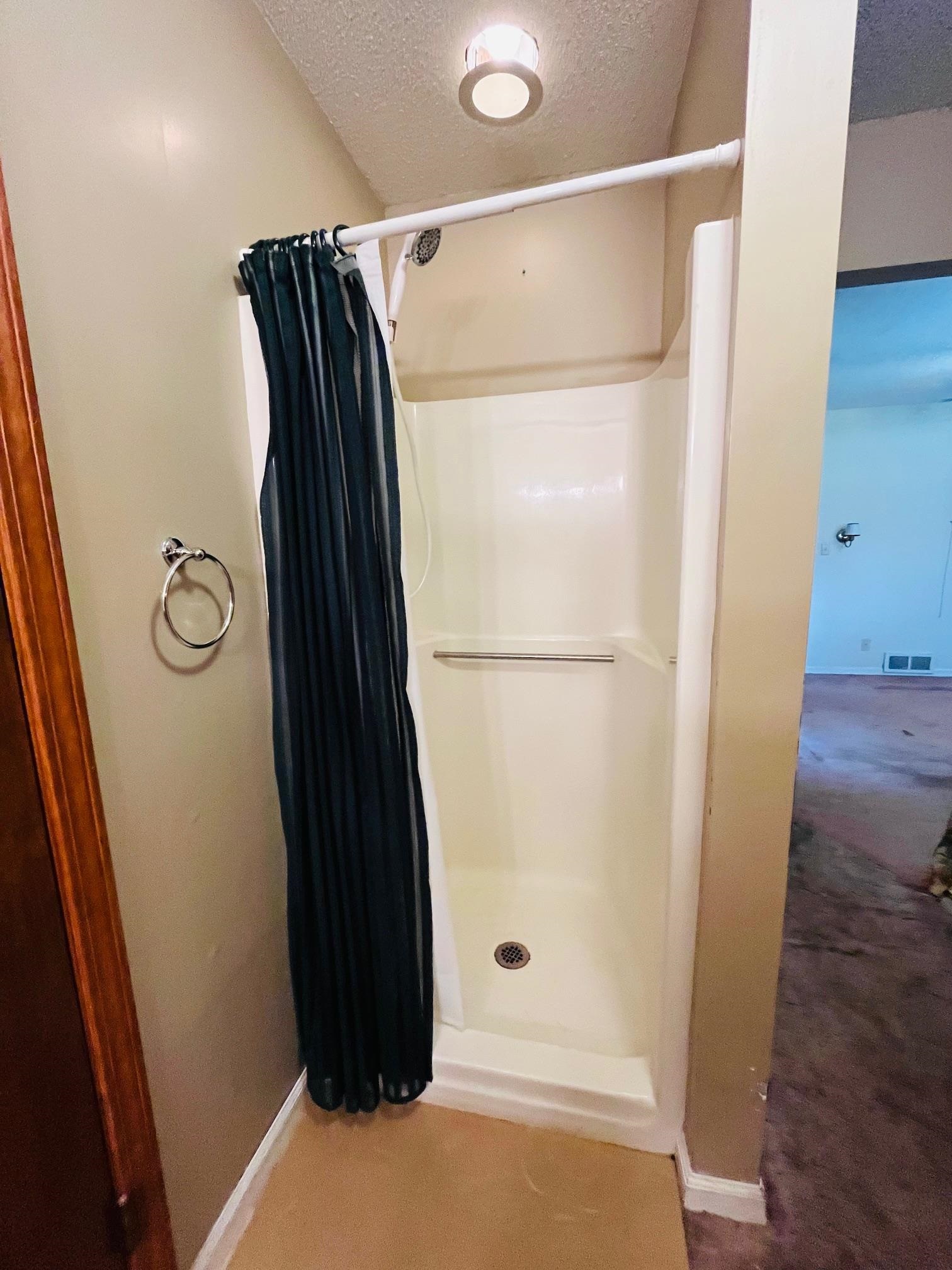 6702 Raleigh Millington Road Millington, TN 38053 - Photo 14 of 20 a view of walk in closet