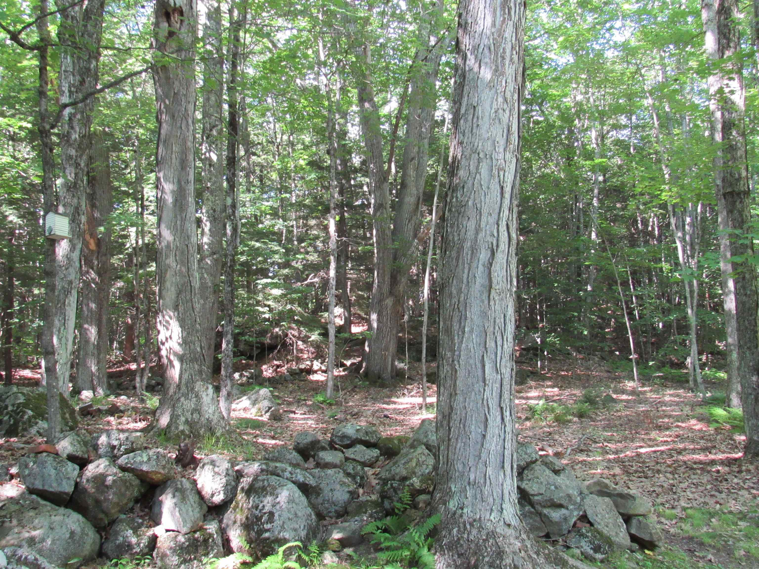 14 Bidewee Road Harrisville, NH 03450 - Photo 25 of 29