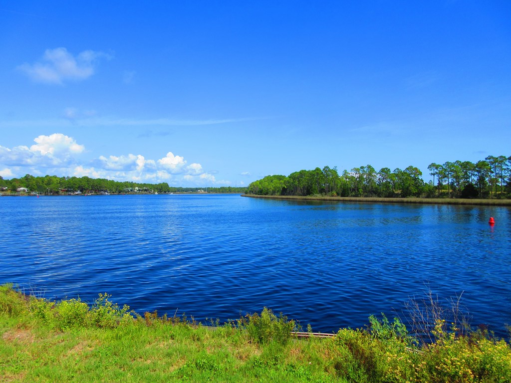 311 River Road Carrabelle, FL 32322 - Photo 21 of 31 Gallery Image 21