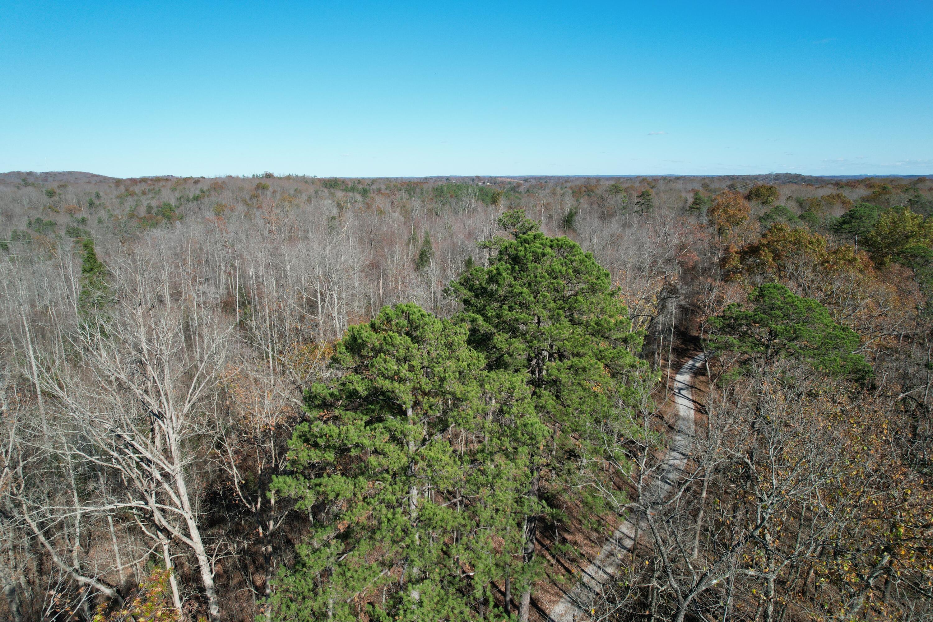 1500 Snake Pond Rdg Road Somerset, KY 42501 - Photo 14 of 56 DJI_0569