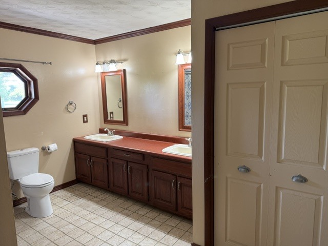 6241 Wards Mill Road Marion, IL 62959 - Photo 7 of 29 a bathroom with a double vanity sink and a toilet