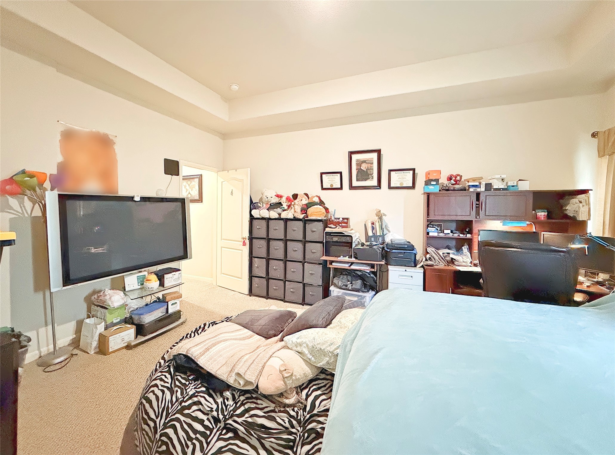 10111 San Ignacio Houston, TX 77075 - Photo 9 of 13