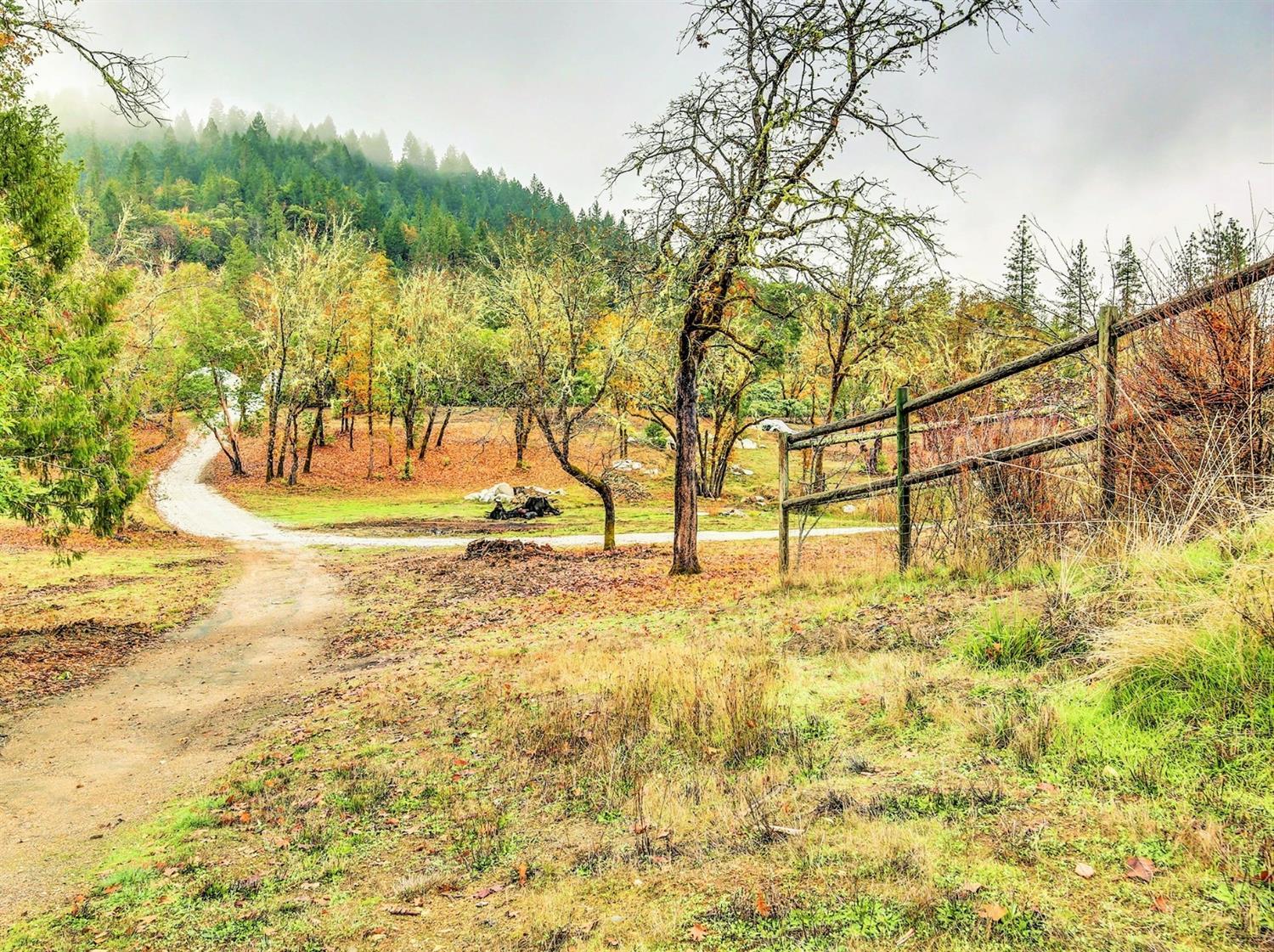 2655 Robertson Bridge Road Grants Pass, OR 97526 - Photo 3 of 31 a view of yard with tree