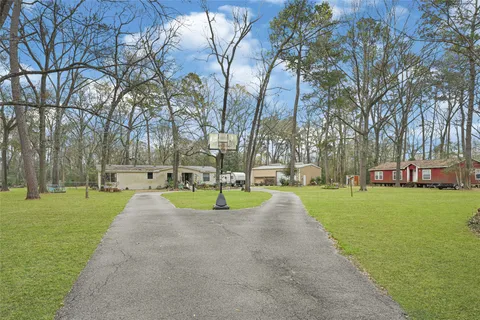 a view of a park with large trees
