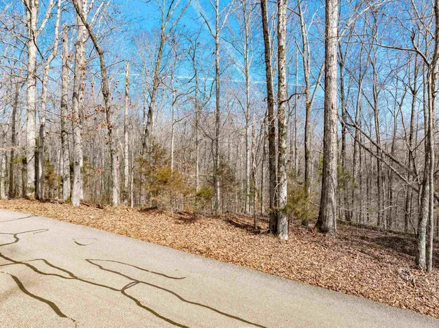 a backyard of a house with large trees