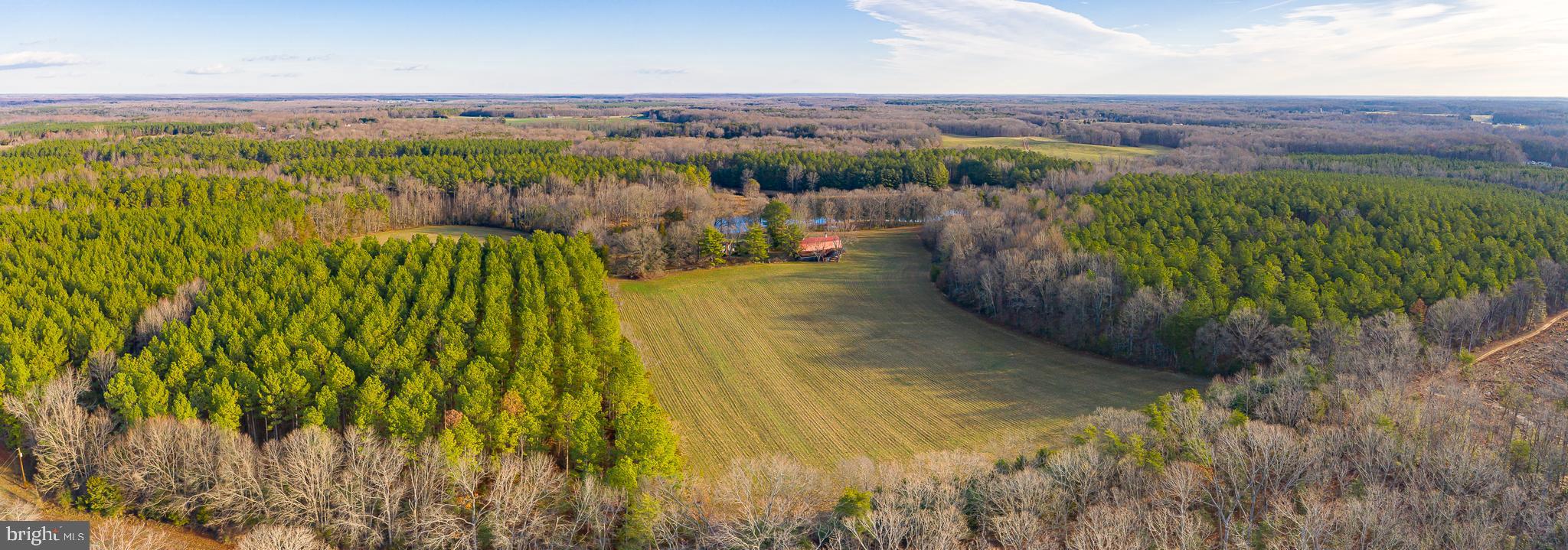 3801 Shirleys Hill Road Partlow, VA 22534 - Photo 25 of 48