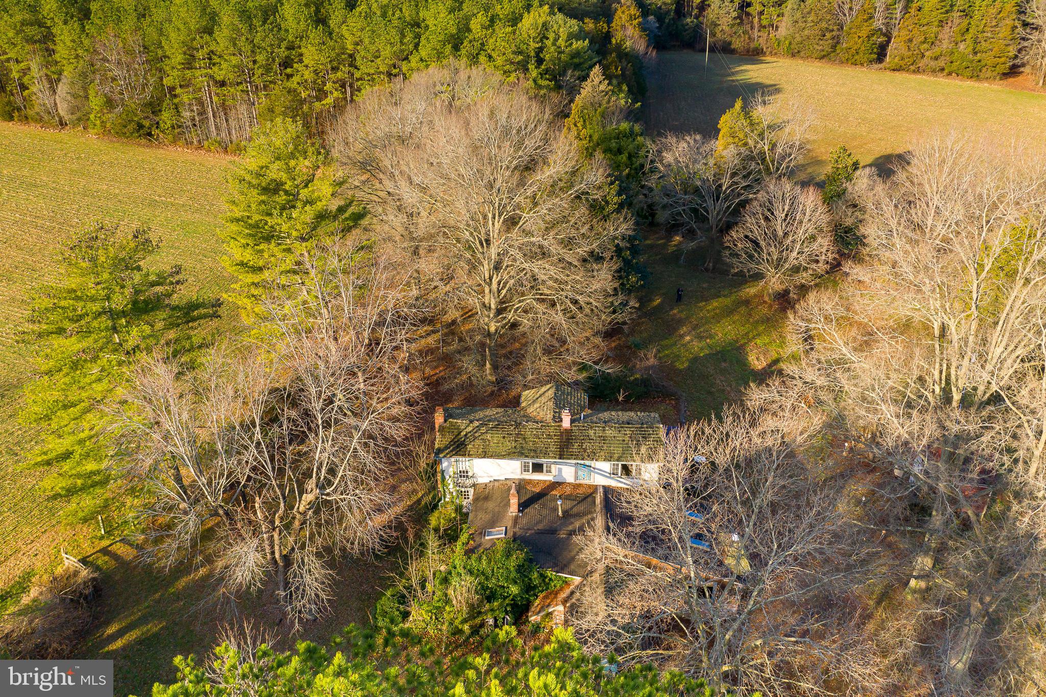 3801 Shirleys Hill Road Partlow, VA 22534 - Photo 30 of 48