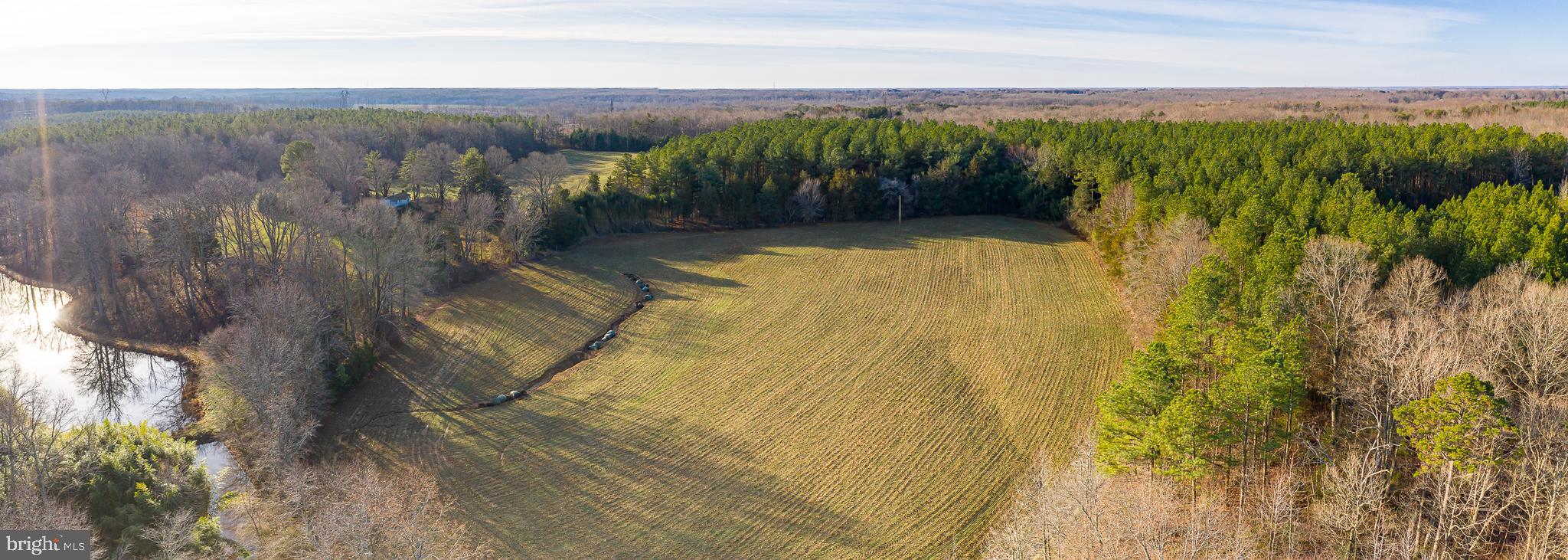 3801 Shirleys Hill Road Partlow, VA 22534 - Photo 32 of 48
