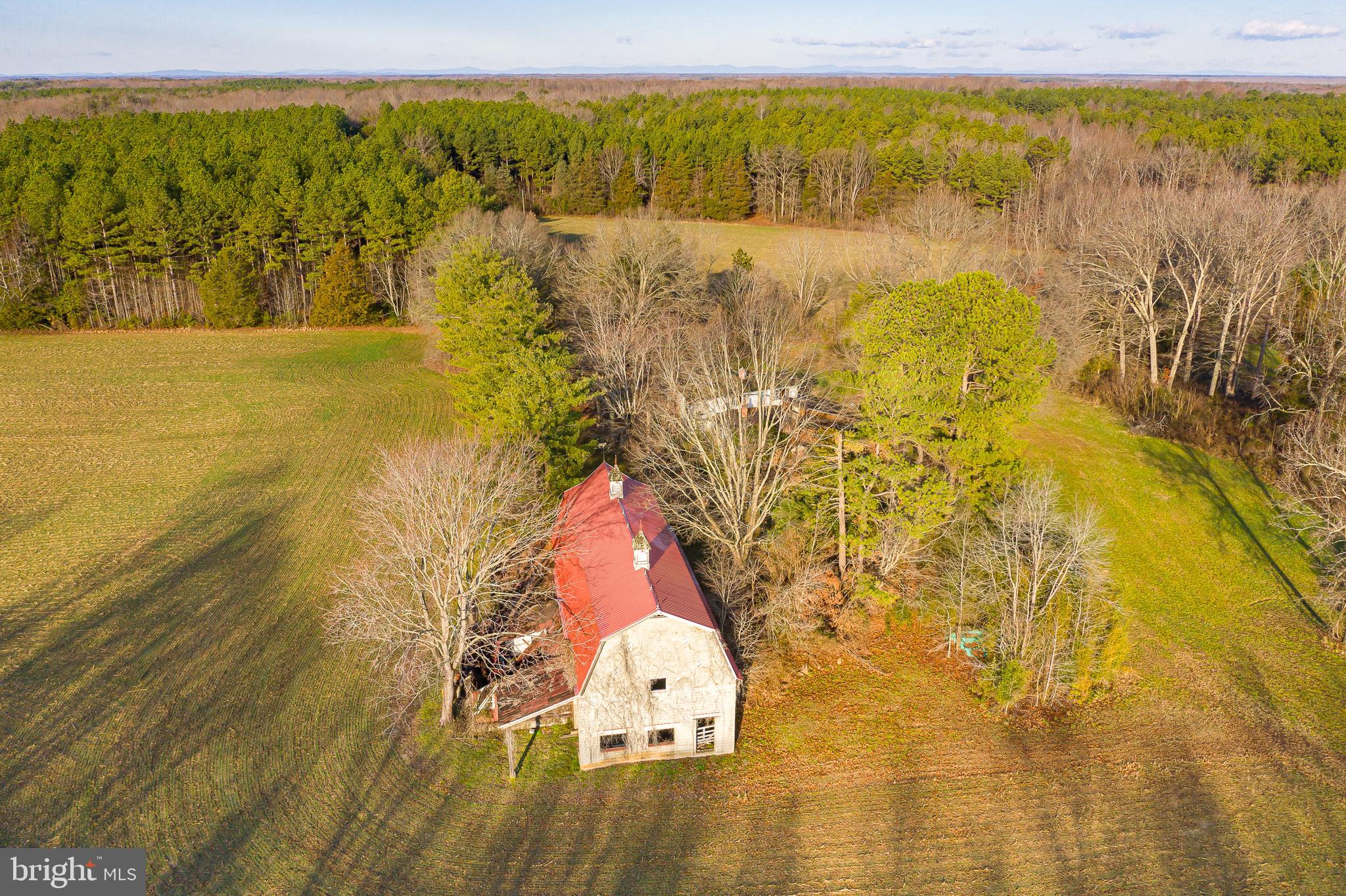 3801 Shirleys Hill Road Partlow, VA 22534 - Photo 5 of 48