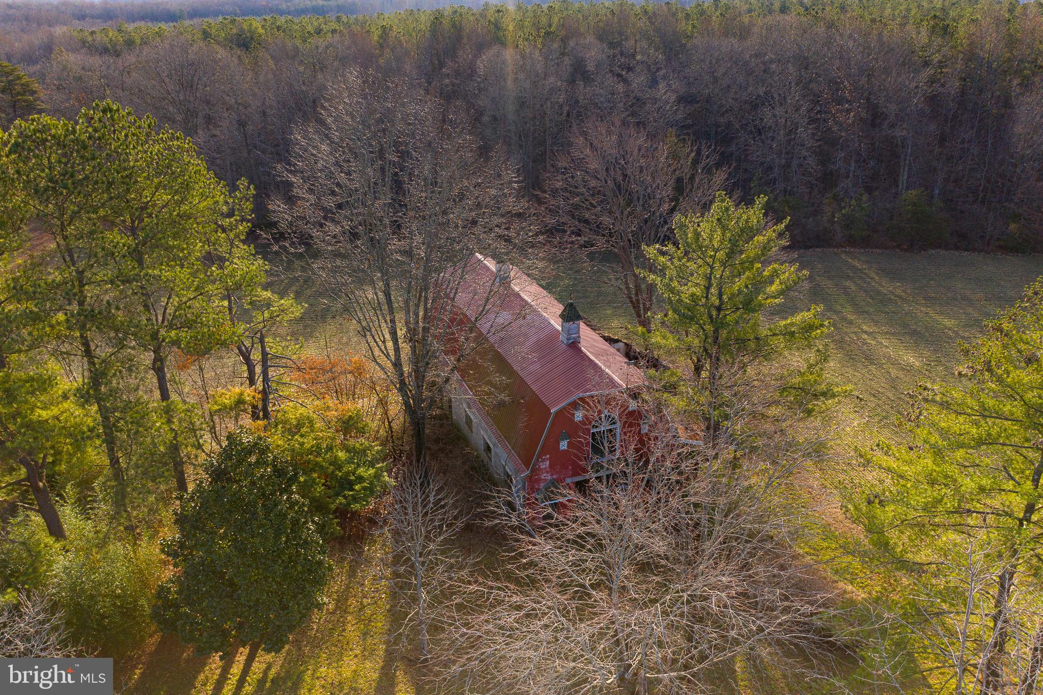 3801 Shirleys Hill Road Partlow, VA 22534 - Photo 6 of 48