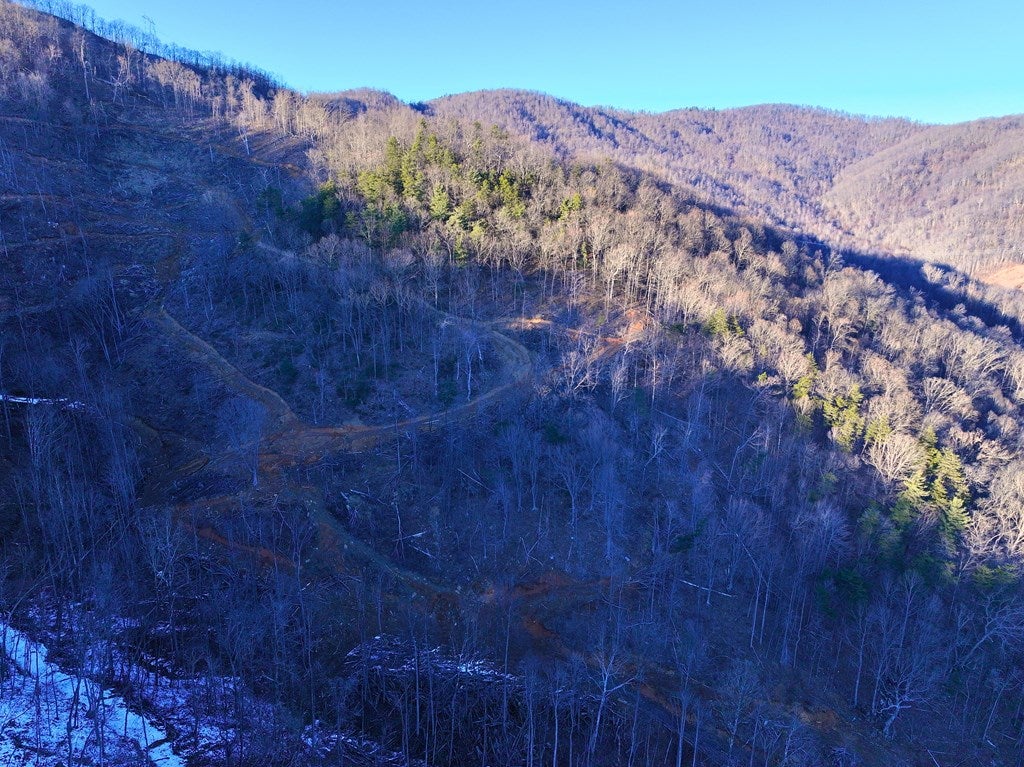 Tbd Shooting Crk Road Ferrum, VA 24088 - Photo 23 of 59 Gallery Image 23