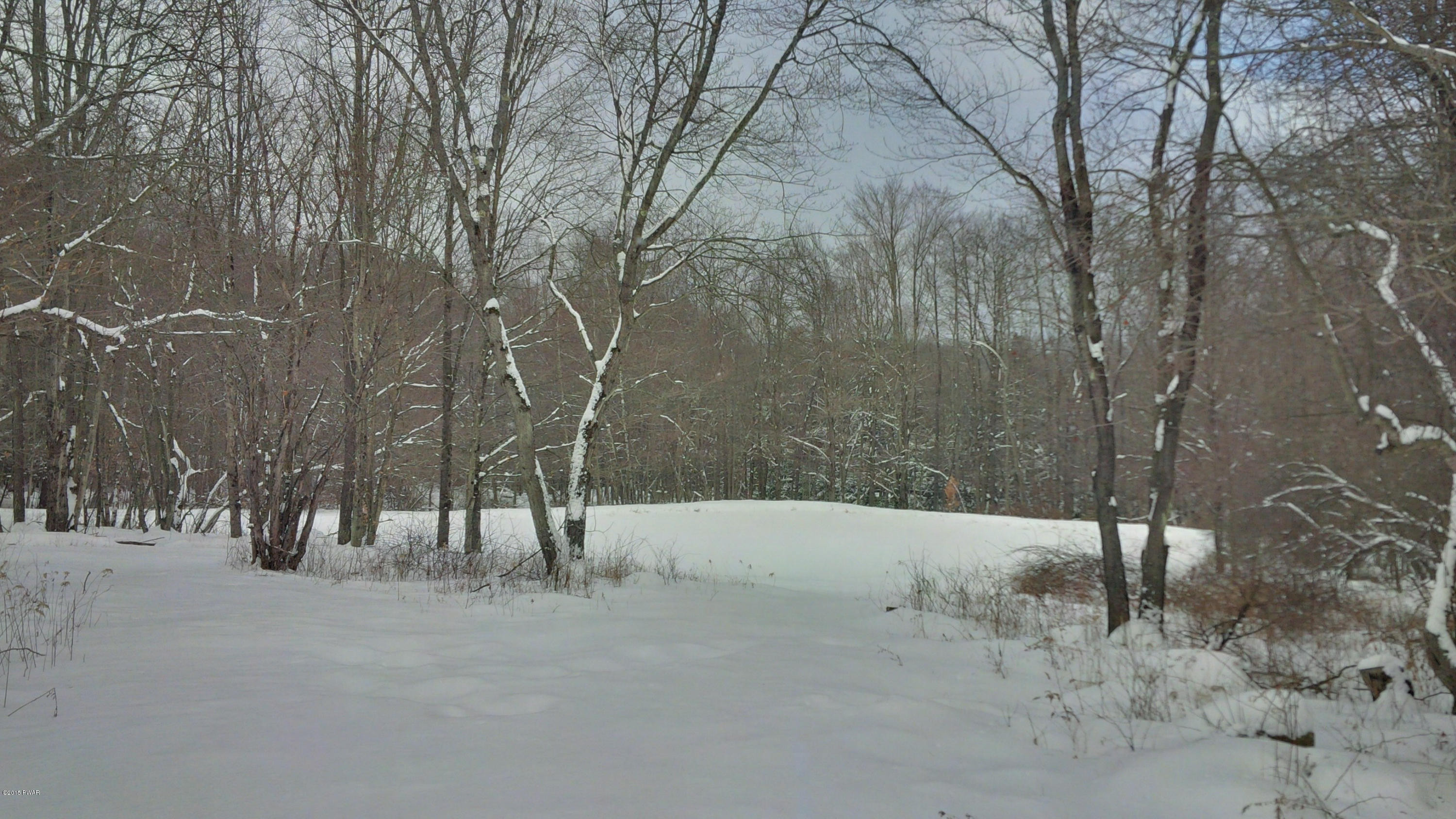 727 Rose Hill Road Lake Como, PA 18437 - Photo 6 of 33
