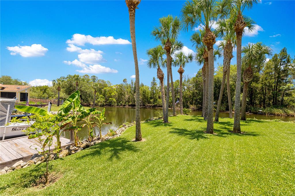 3817 North Calusa Point Crystal River, FL 34428 - Photo 50 of 54 a view of lake