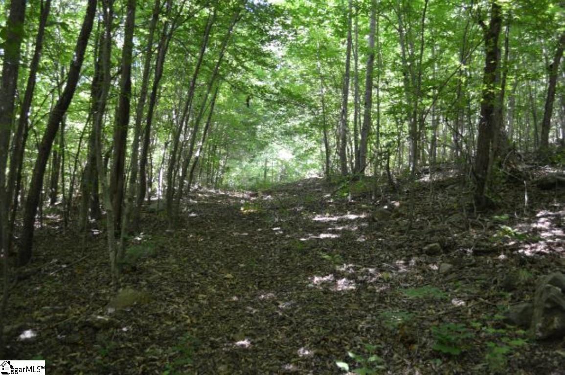 0 Seneca Springs Landing Road Seneca, SC 29678 - Photo 17 of 32 Gallery Image 17