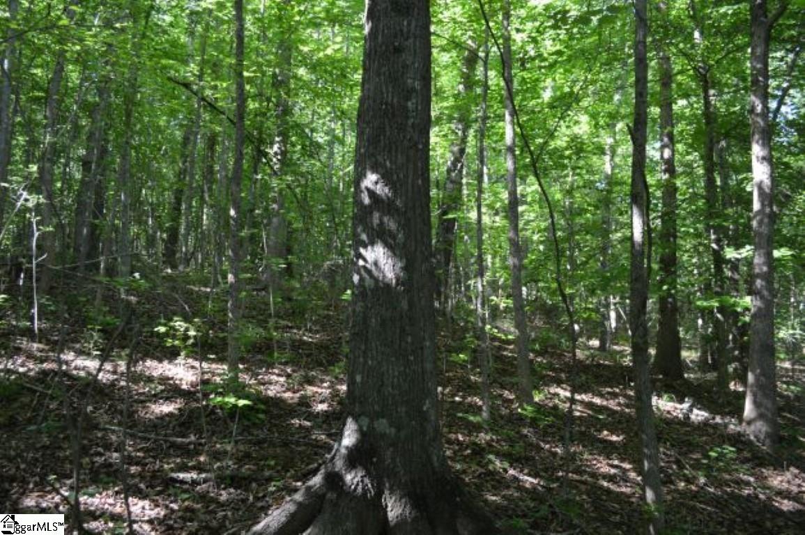 0 Seneca Springs Landing Road Seneca, SC 29678 - Photo 23 of 32 Gallery Image 23