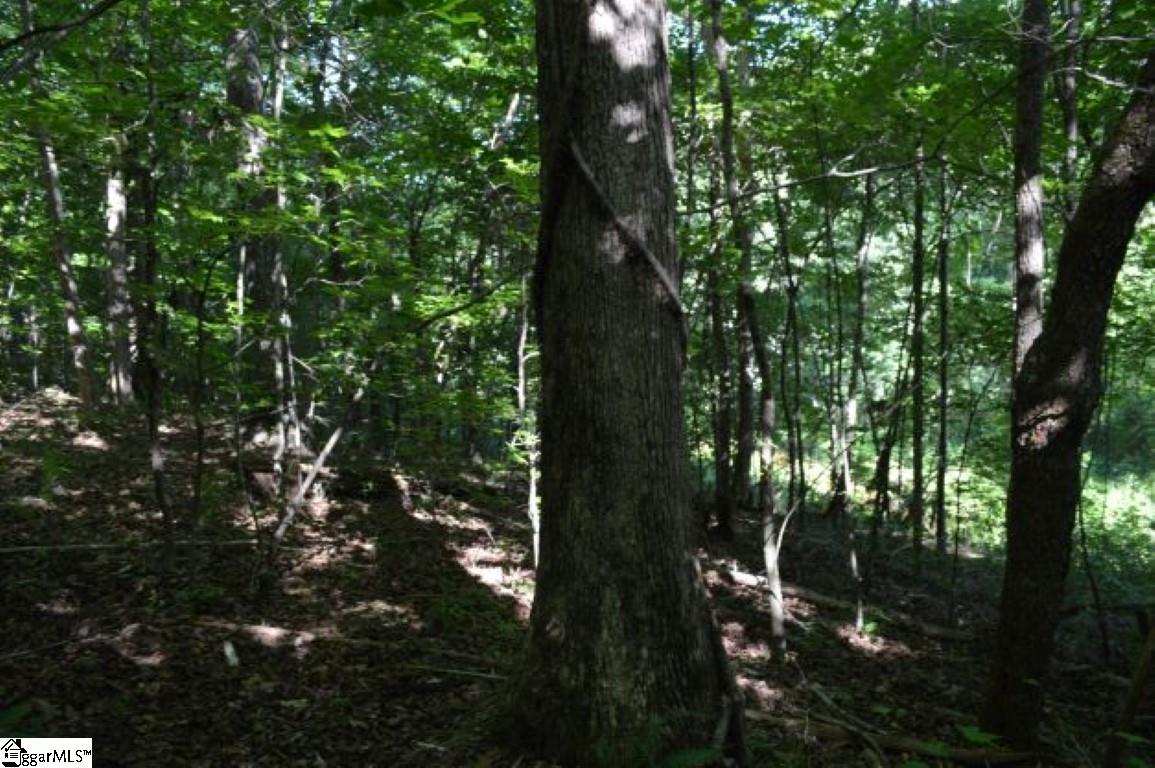 0 Seneca Springs Landing Road Seneca, SC 29678 - Photo 24 of 32 Gallery Image 24