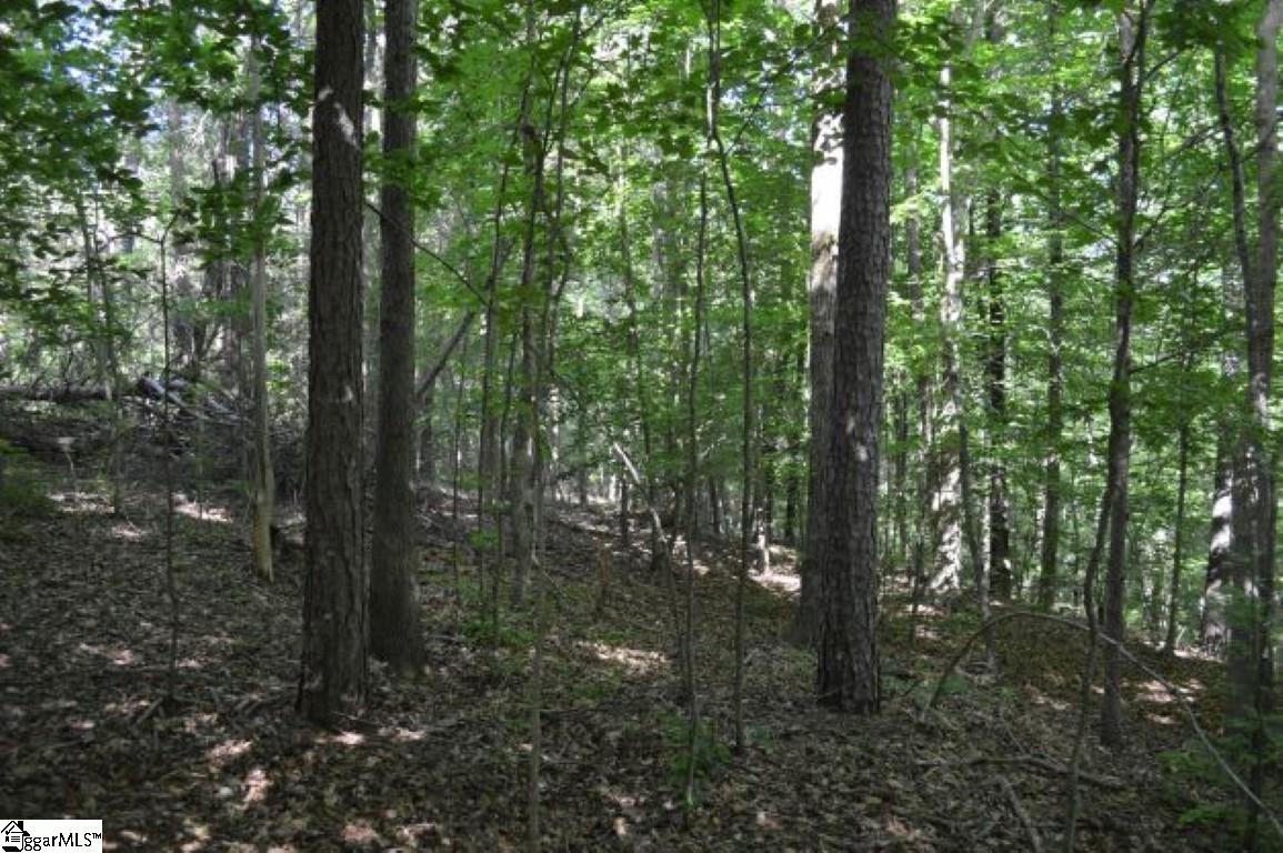 0 Seneca Springs Landing Road Seneca, SC 29678 - Photo 26 of 32 Gallery Image 26