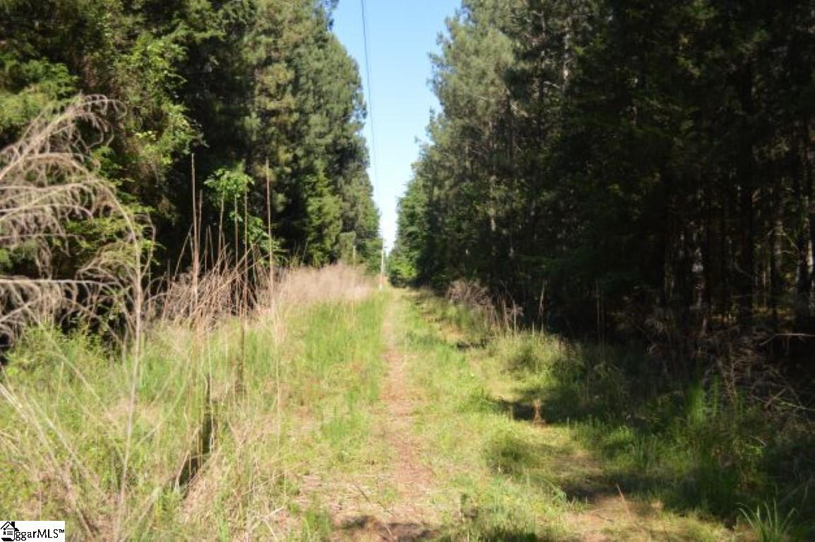 0 Seneca Springs Landing Road Seneca, SC 29678 - Photo 29 of 32 Gallery Image 29