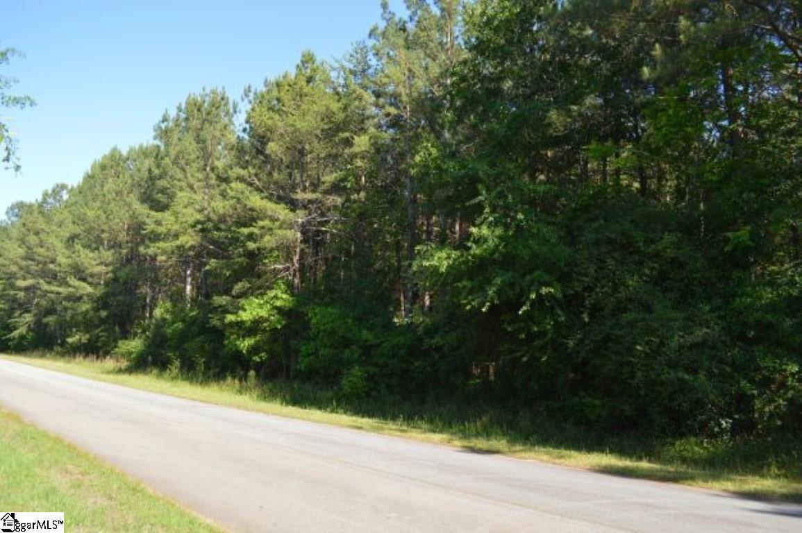 0 Seneca Springs Landing Road Seneca, SC 29678 - Photo 31 of 32 Gallery Image 31