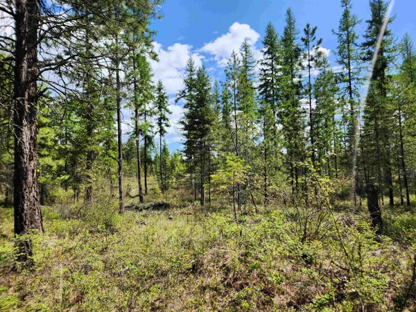 $604,000 | 3669 West Jump Off Joe Road, Valley, WA 99181