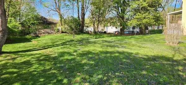 a view of a park with large trees