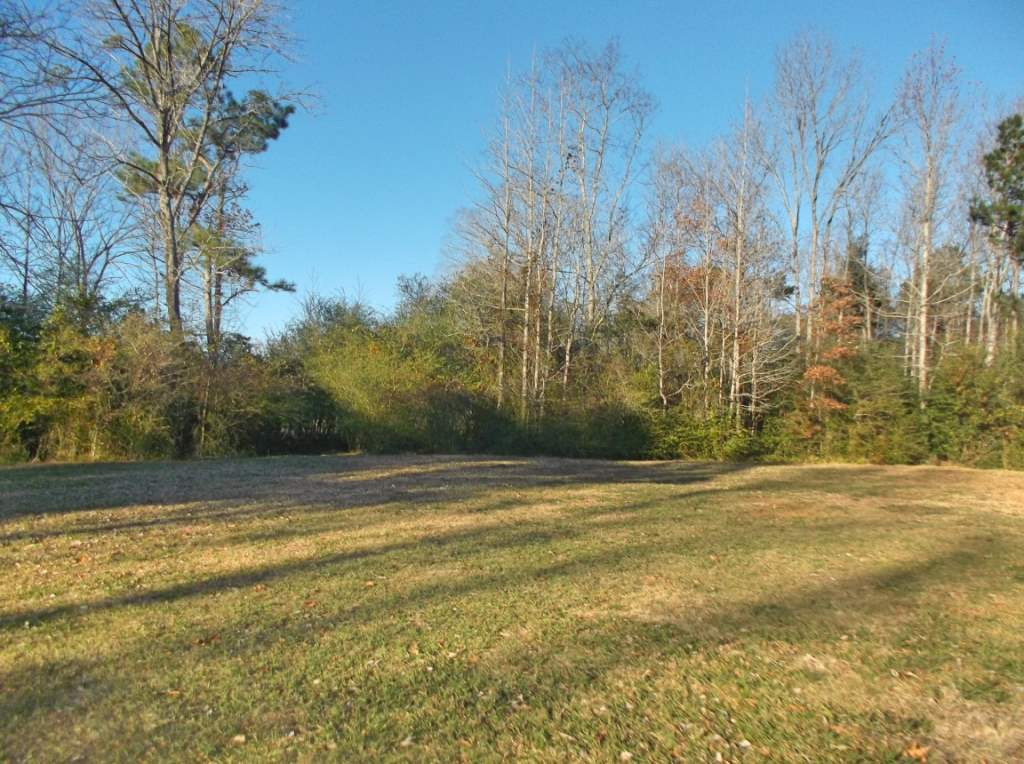 1138 Old Sawmill Road Lake, MS 39092 - Photo 9 of 10 Photo 9