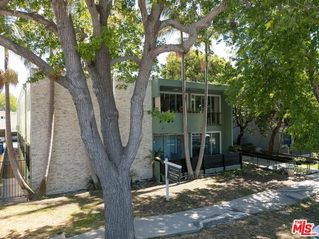 a tree in the backyard of a house