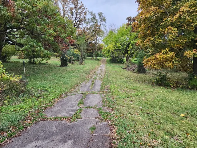 a view of backyard with green space