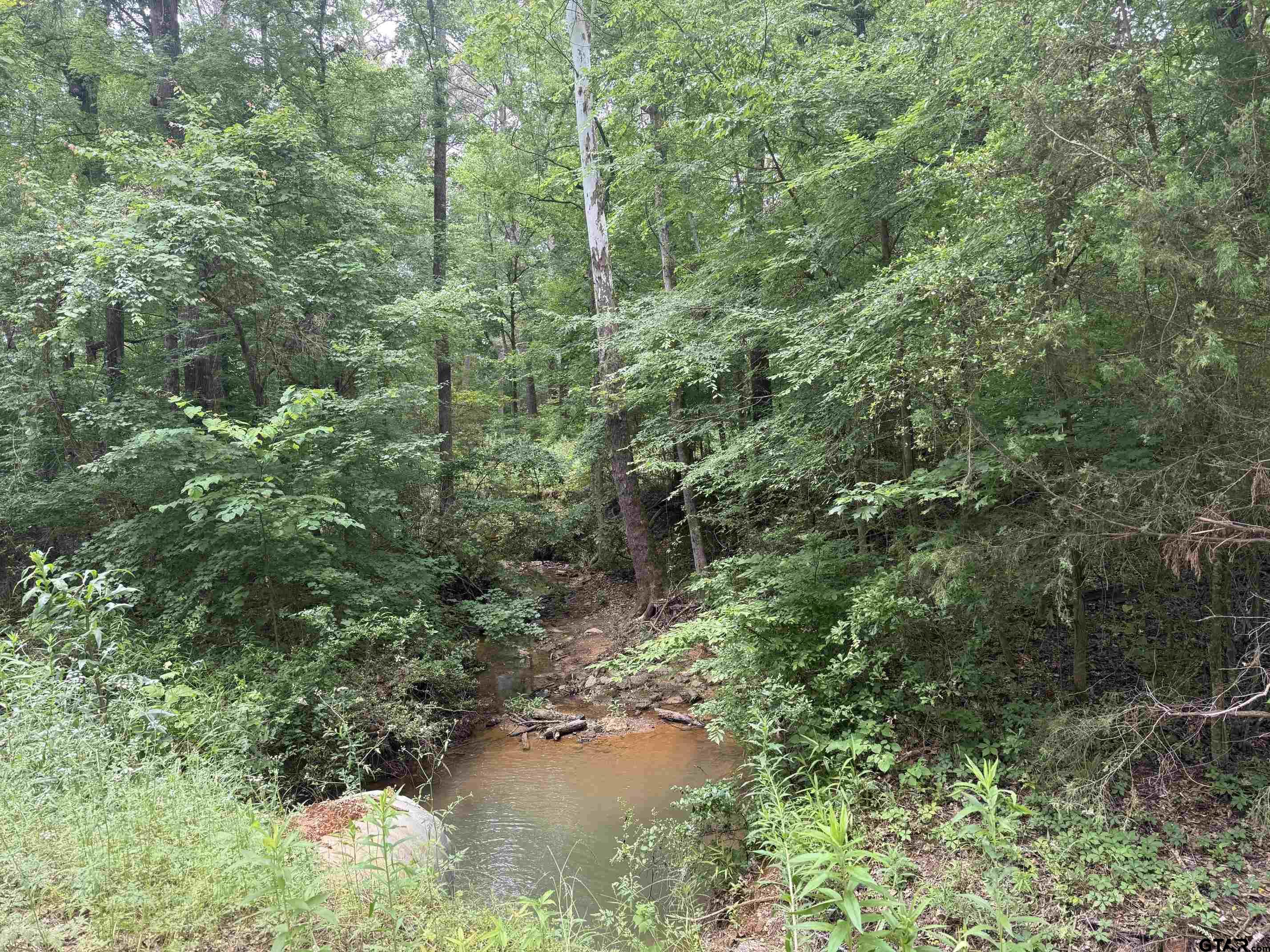 2107 Rusk Tx 75785 Rusk, TX 75785 - Photo 12 of 15