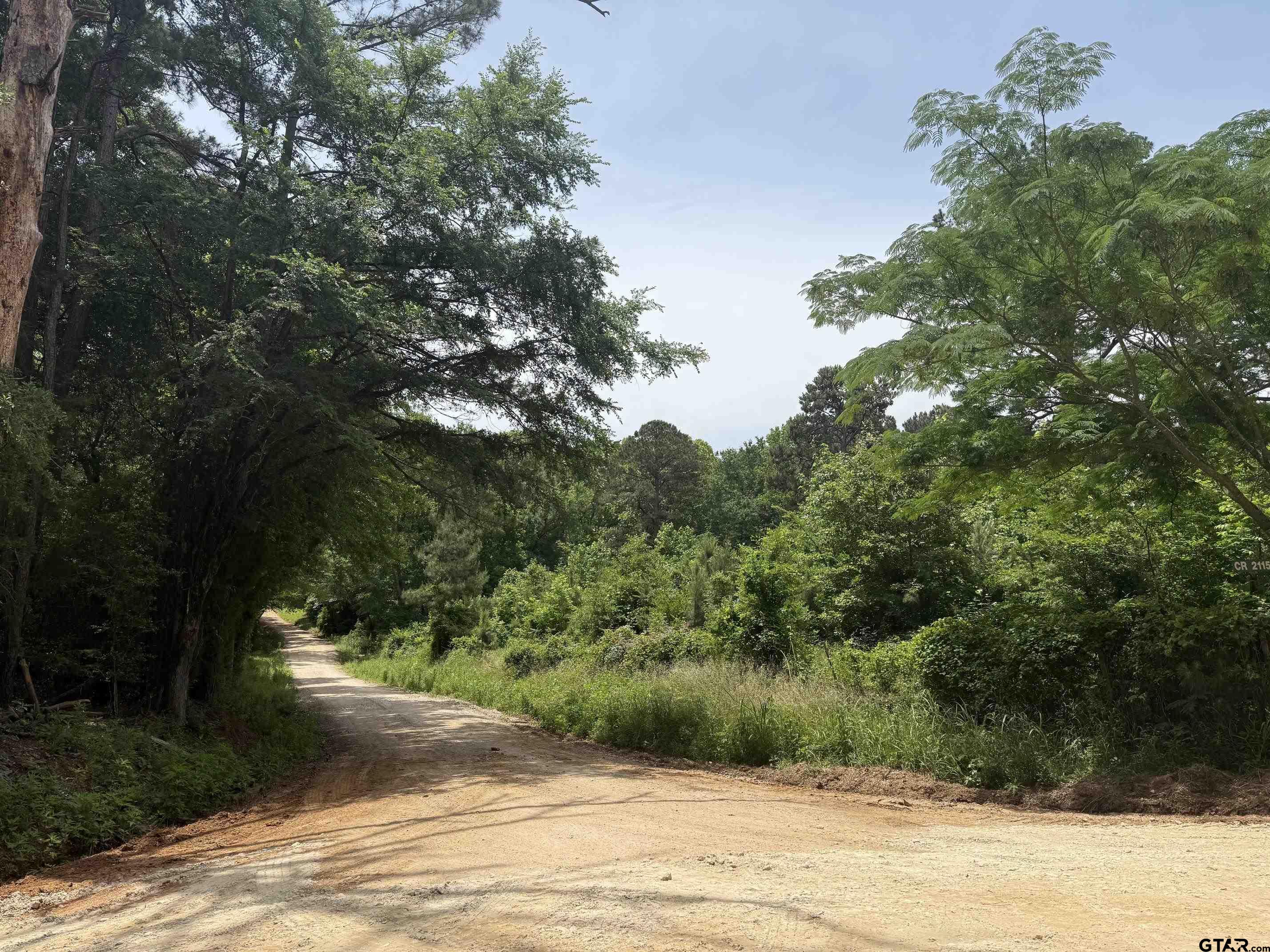 2107 Rusk Tx 75785 Rusk, TX 75785 - Photo 7 of 15