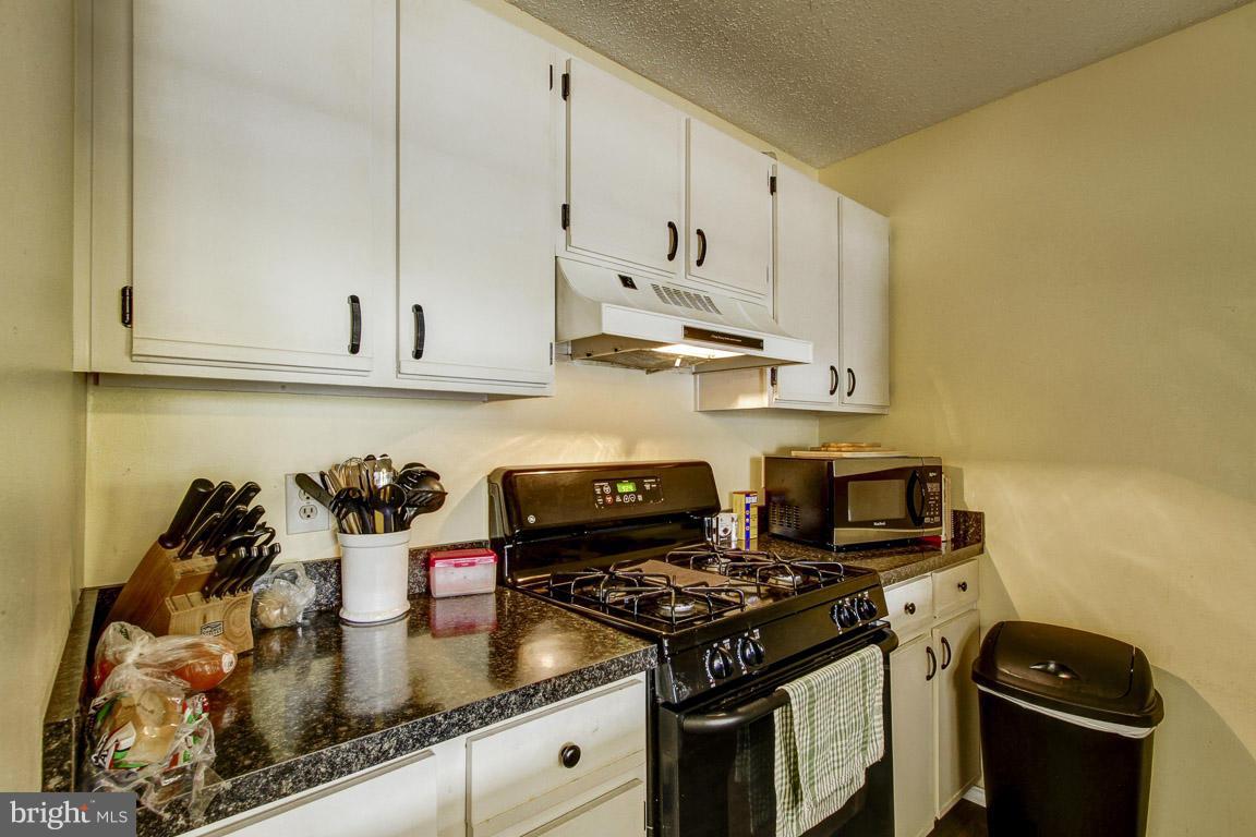 20951 Timber Ridge Terrace, Unit 201 Ashburn, VA 20147 - Photo 12 of 27 Kitchen