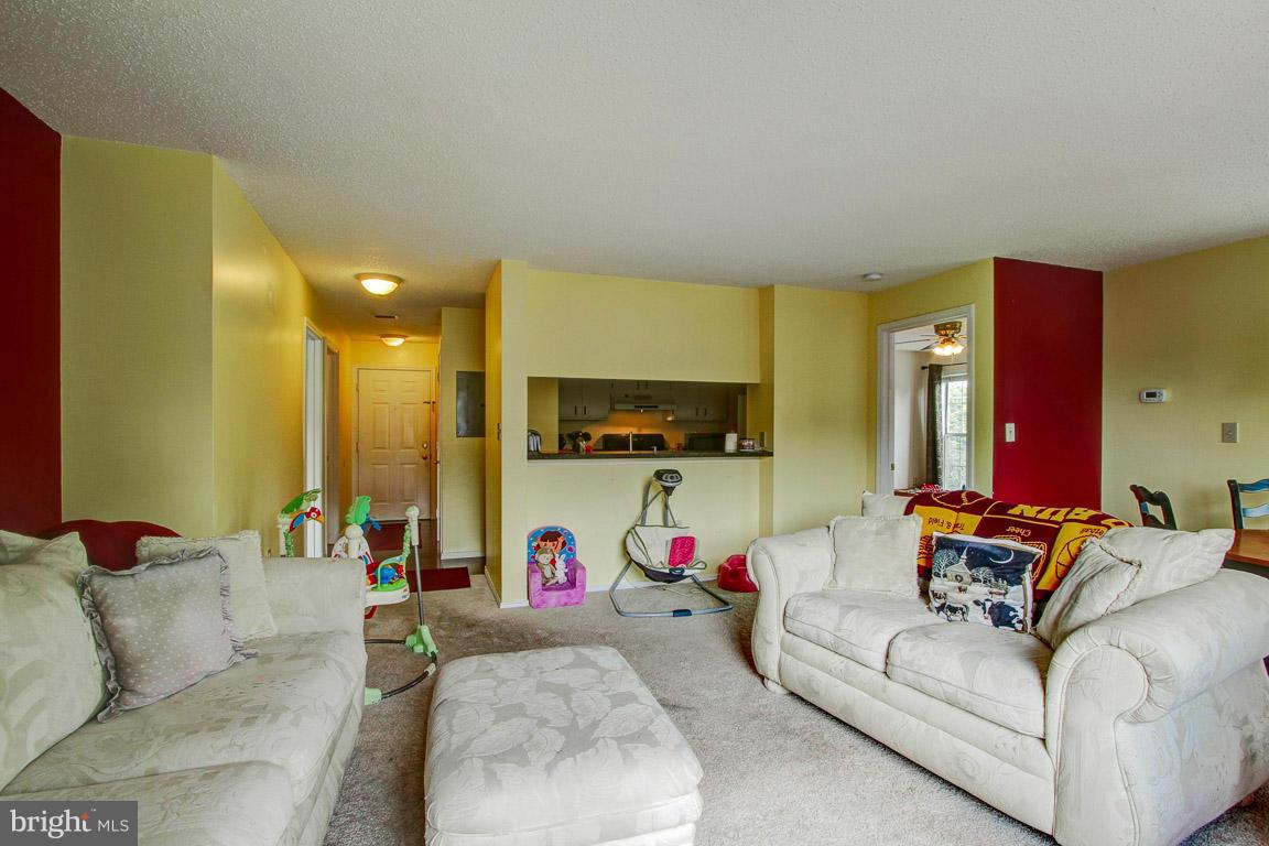 20951 Timber Ridge Terrace, Unit 201 Ashburn, VA 20147 - Photo 3 of 27 Living Room