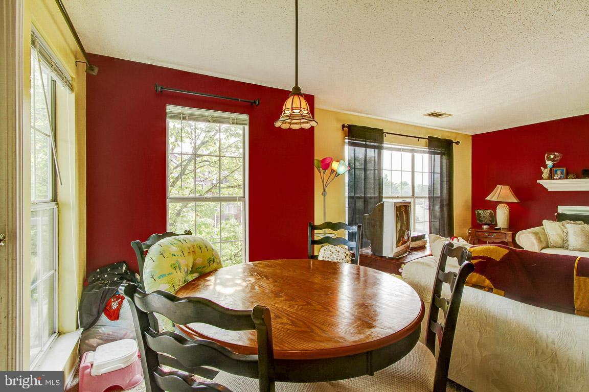 20951 Timber Ridge Terrace, Unit 201 Ashburn, VA 20147 - Photo 5 of 27 Dining Room