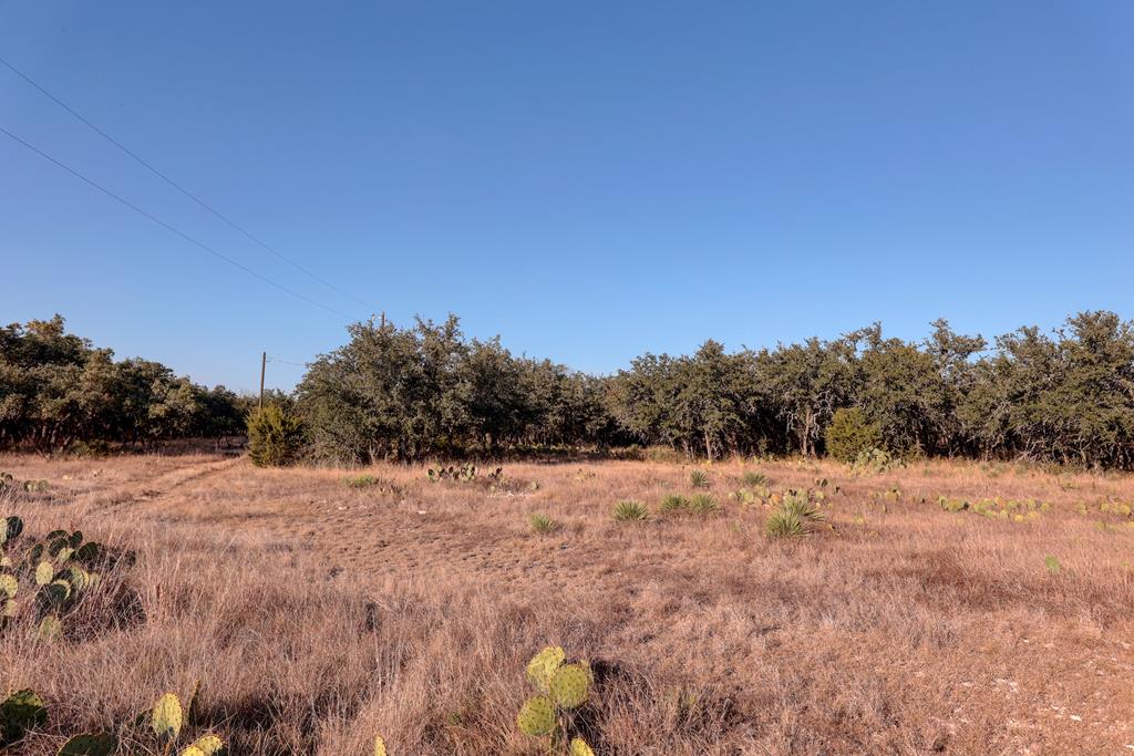 88 Wendel Road Harper, TX 78631 - Photo 8 of 20