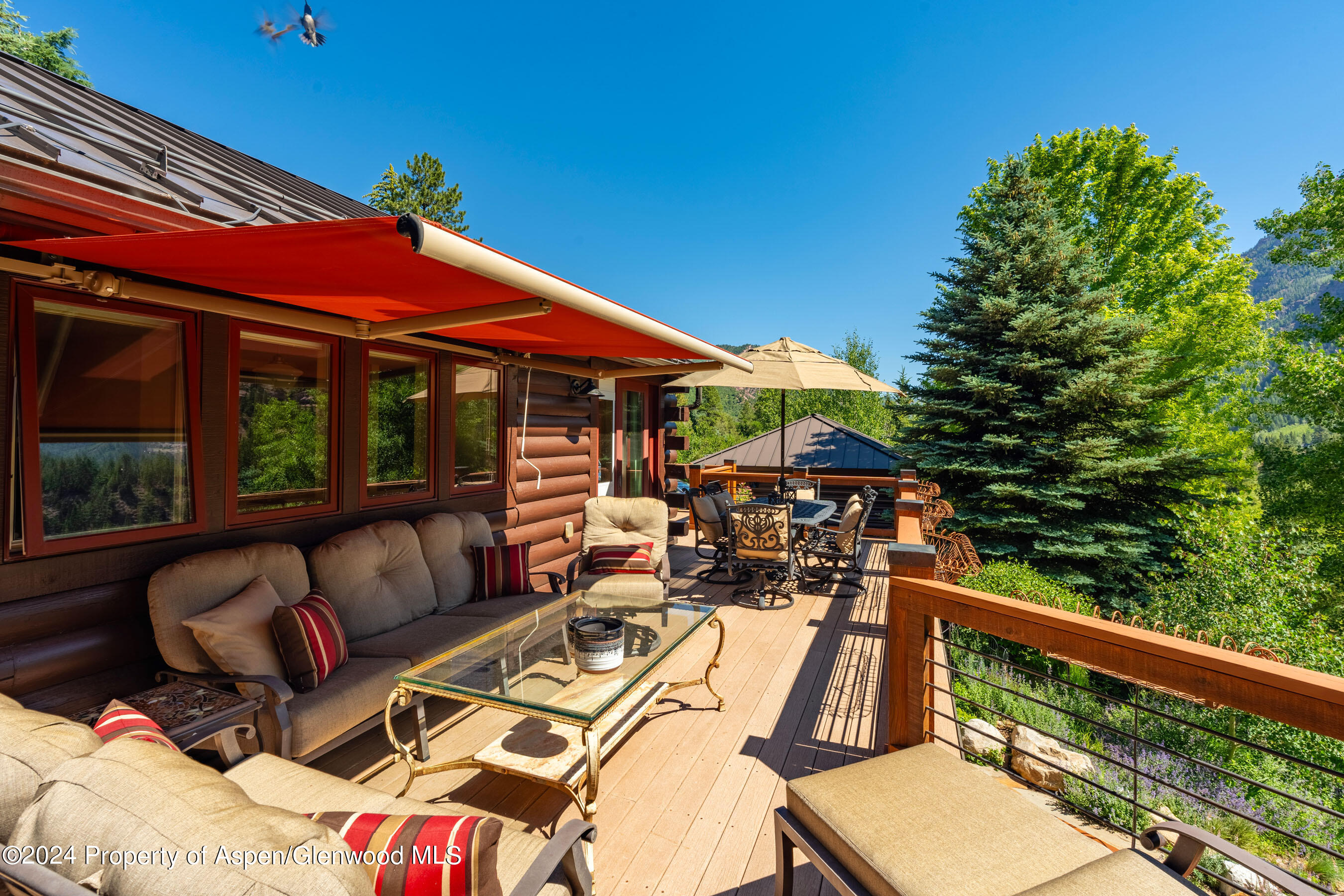 389 Elk Mountain Drive Redstone, CO 81623 - Photo 17 of 64 a view of a patio with couches table and chairs and potted plants