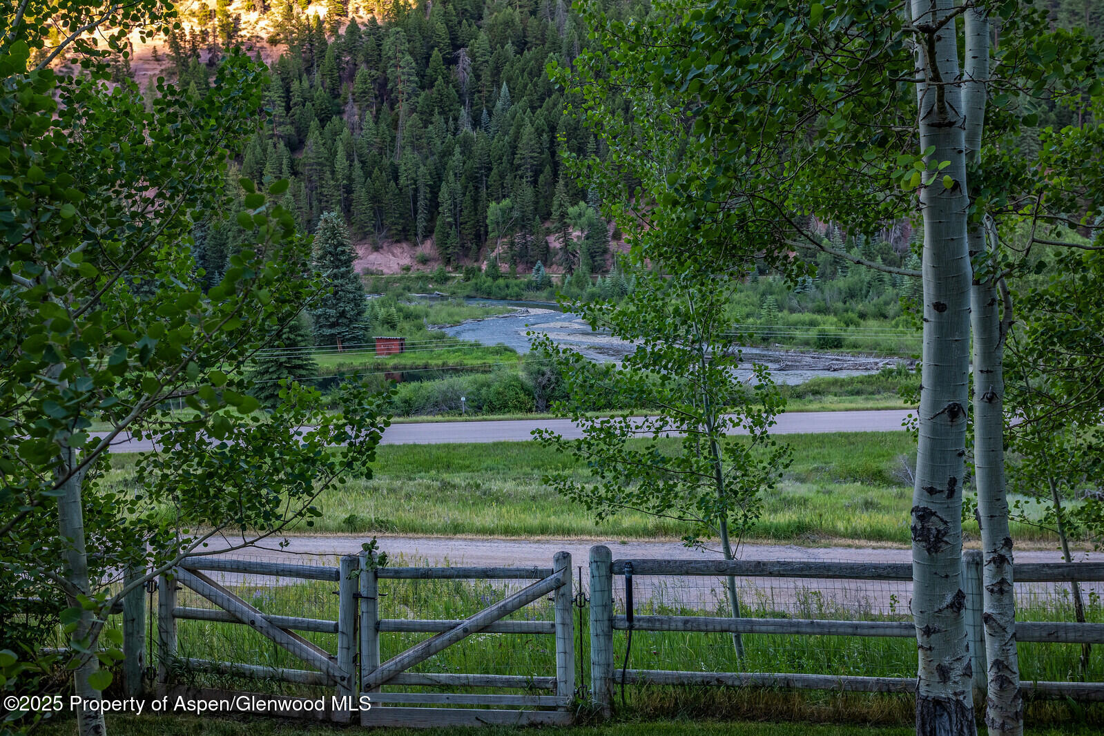 389 Elk Mountain Drive Redstone, CO 81623 - Photo 19 of 64 a view of a yard in front of a yard