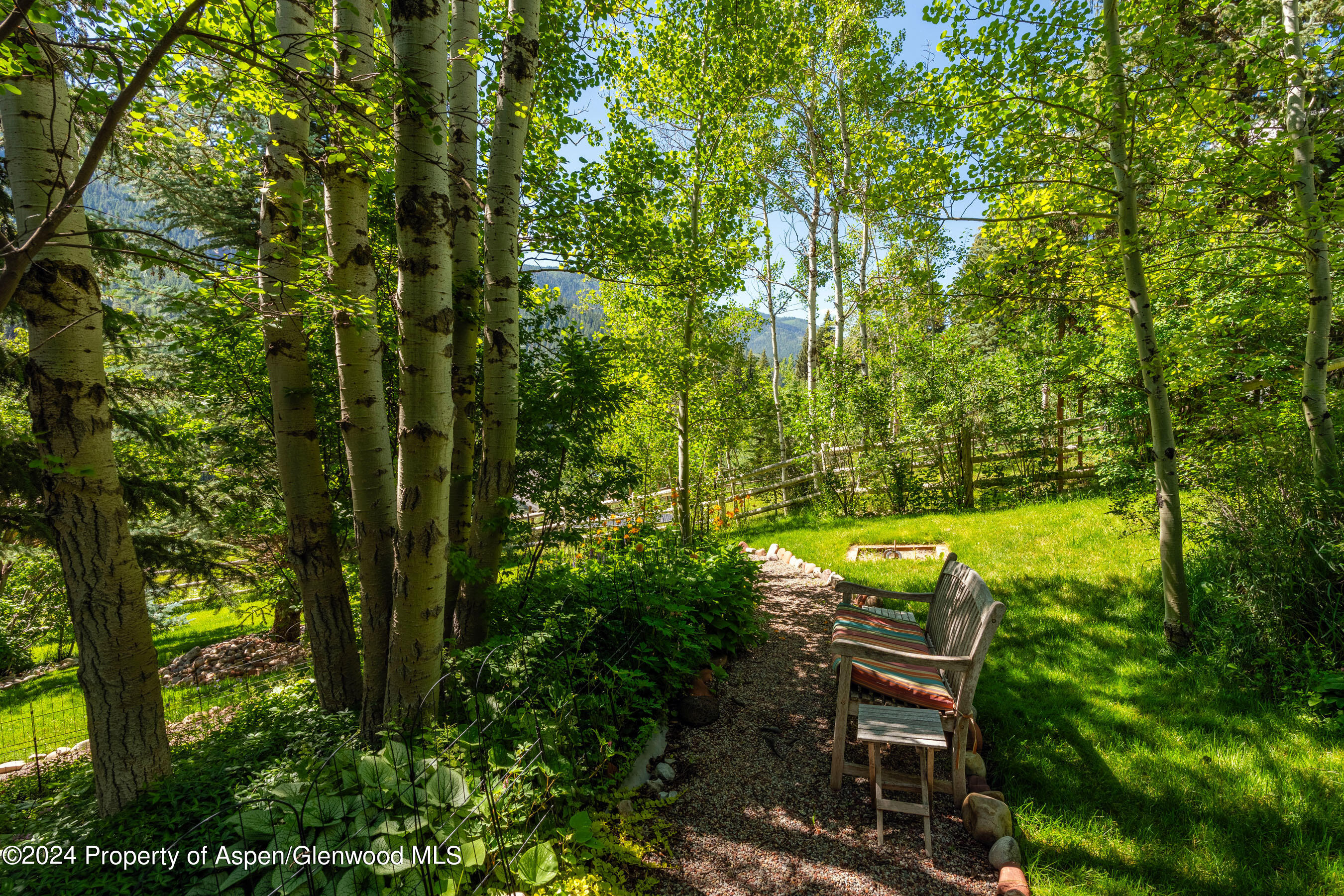 389 Elk Mountain Drive Redstone, CO 81623 - Photo 22 of 64 a view of a yard with a bench and some trees