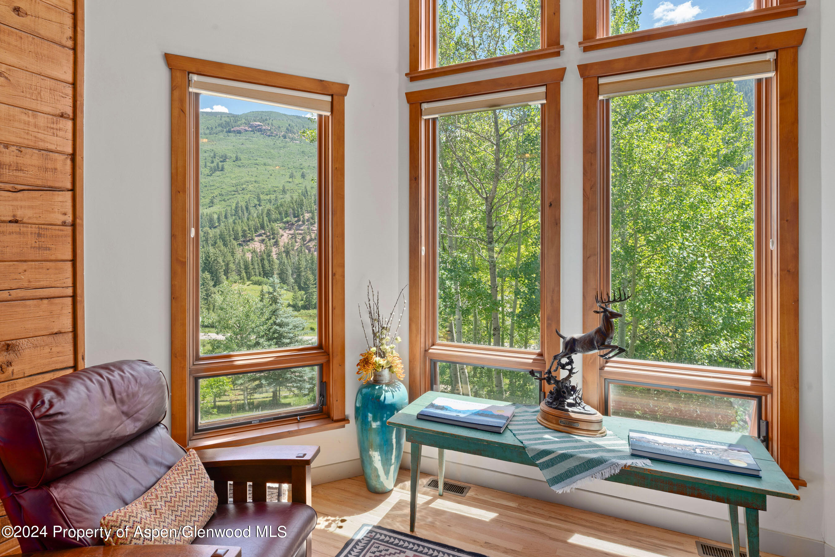 389 Elk Mountain Drive Redstone, CO 81623 - Photo 40 of 64 Photo10