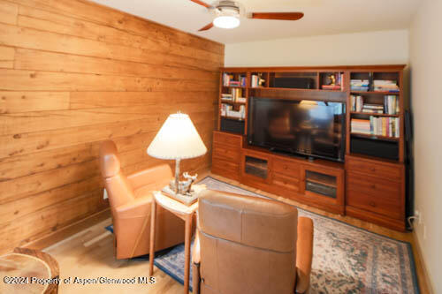 389 Elk Mountain Drive Redstone, CO 81623 - Photo 43 of 64 a living room with a flat screen tv and a bookshelf