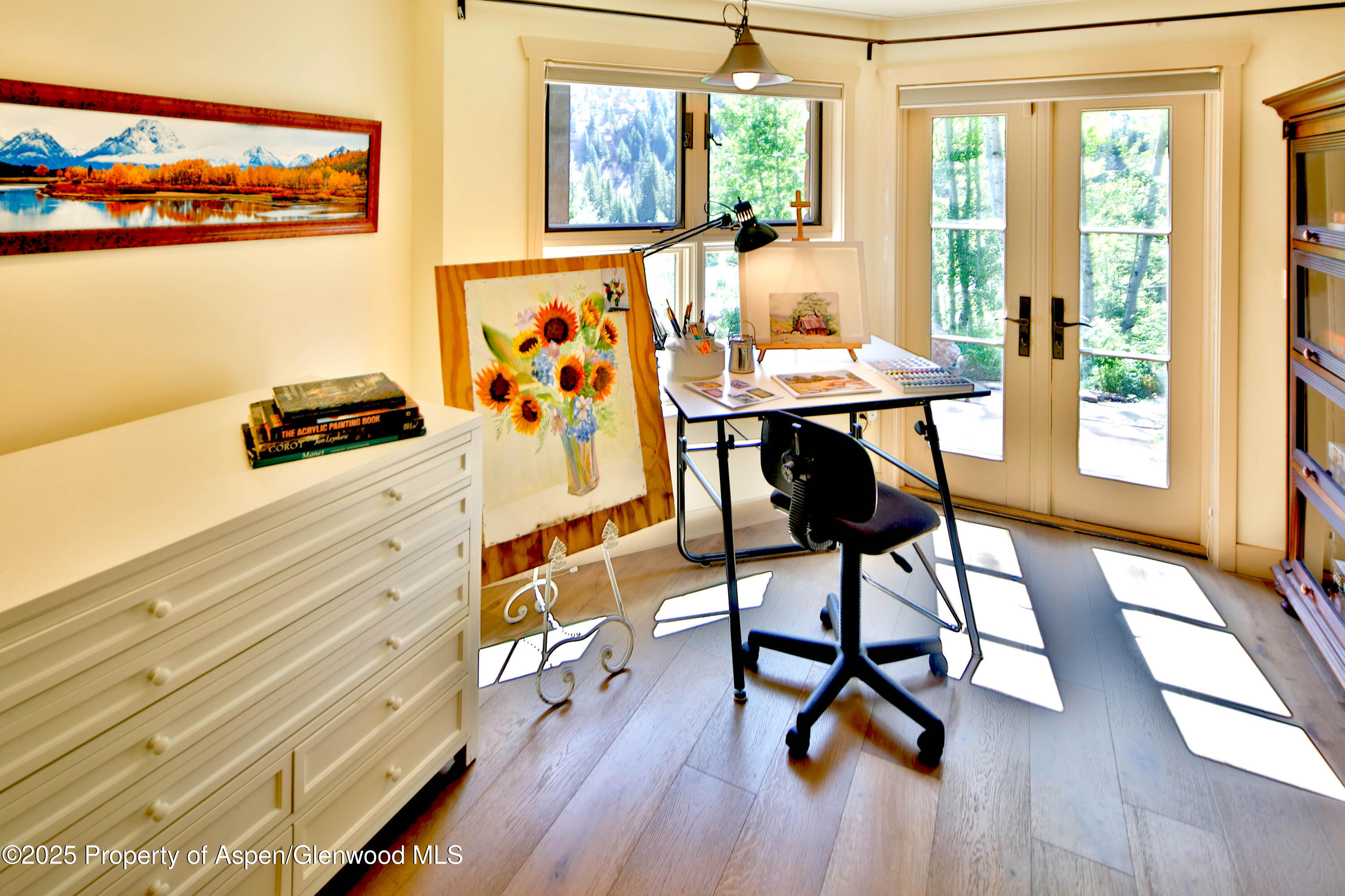 389 Elk Mountain Drive Redstone, CO 81623 - Photo 60 of 64 Studio Space v2 lg