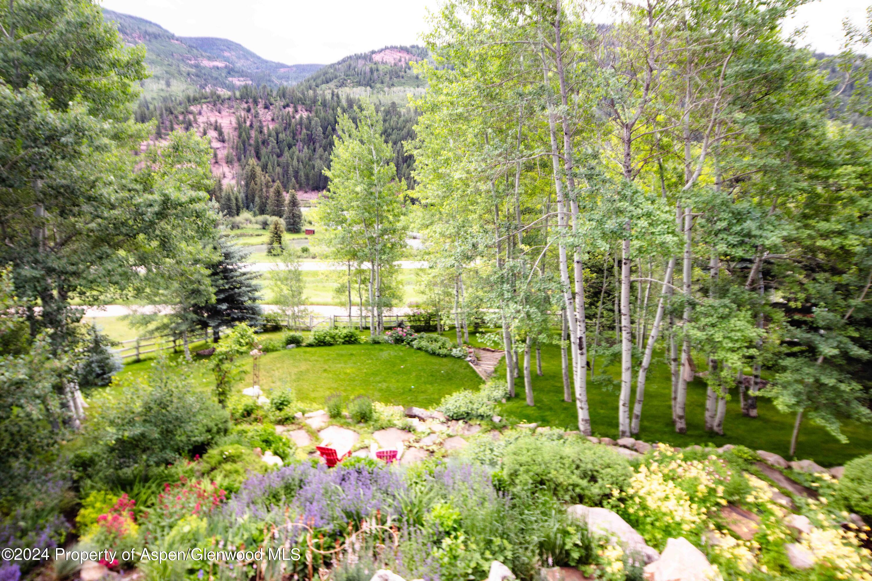 389 Elk Mountain Drive Redstone, CO 81623 - Photo 61 of 64 a view of a yard with an trees
