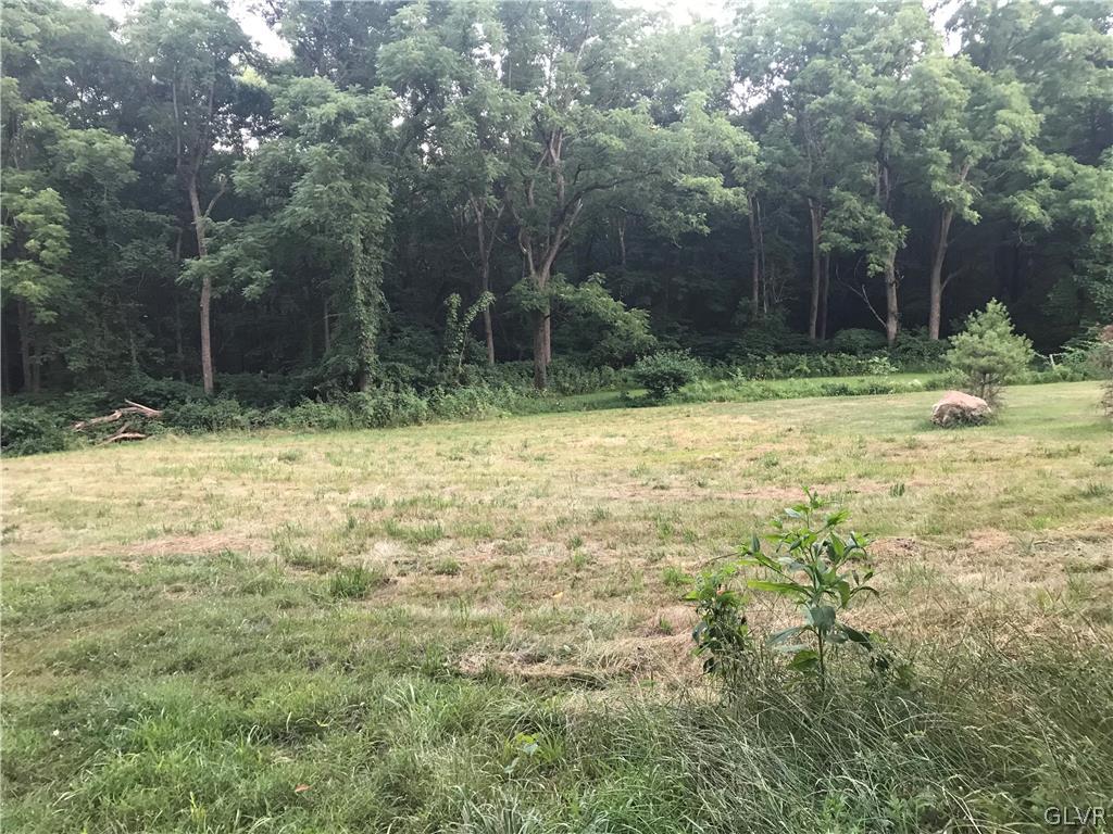 137 Wassergass Road Hellertown, PA 18055 - Photo 11 of 16 a view of a yard with trees