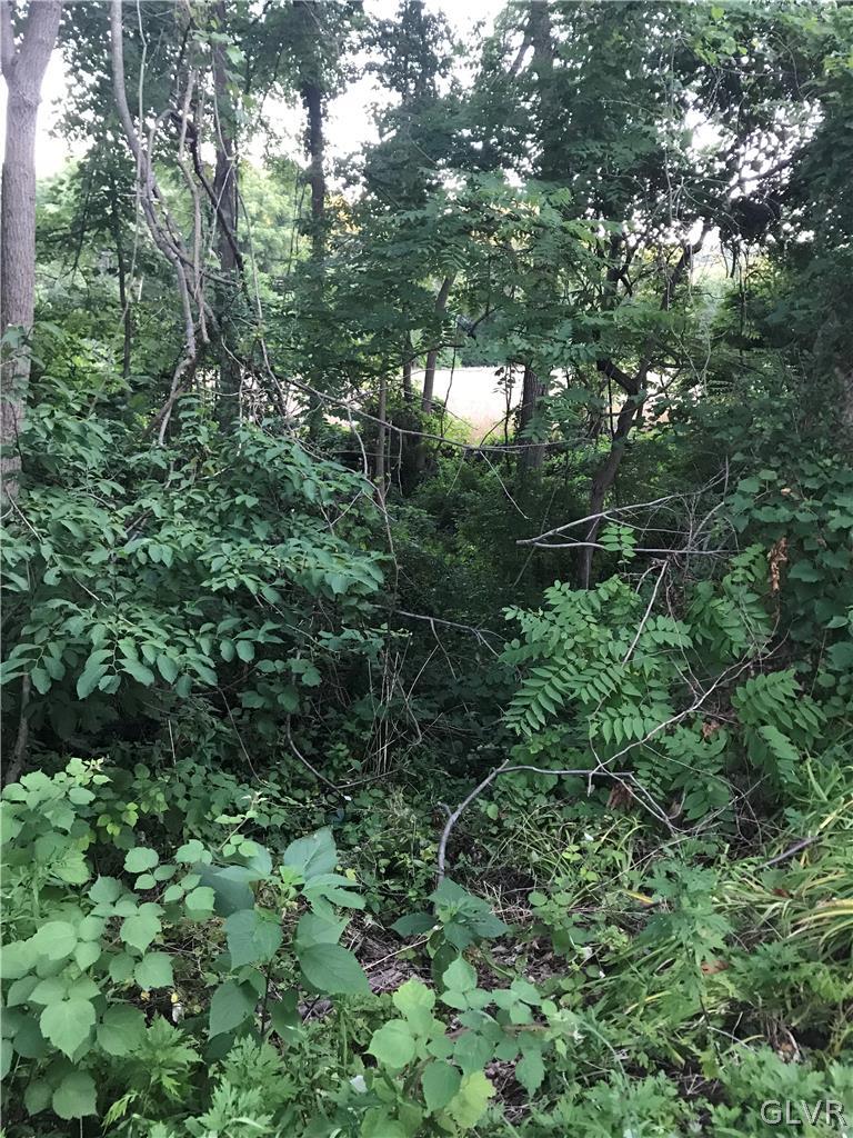137 Wassergass Road Hellertown, PA 18055 - Photo 3 of 16 a view of a forest with a tree