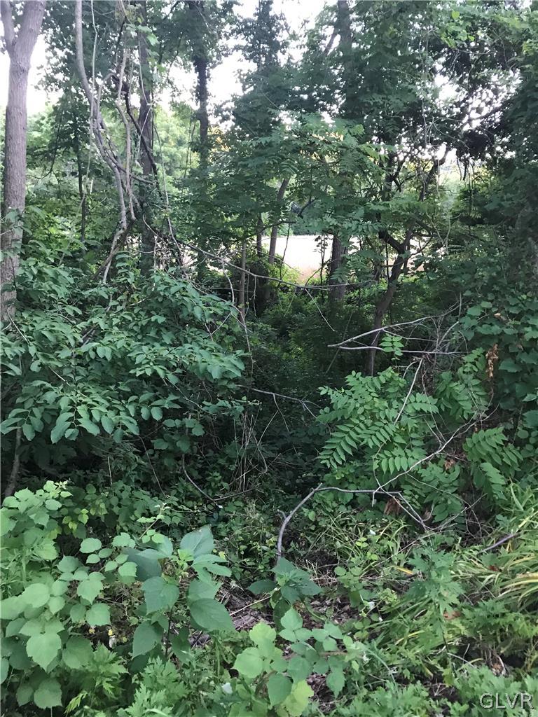 137 Wassergass Road Hellertown, PA 18055 - Photo 9 of 16 a view of a forest with a tree