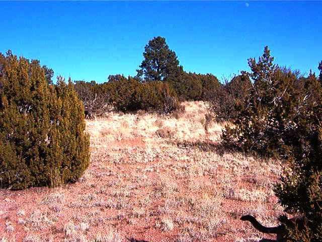 208 Denny 5 Road Seligman, AZ 86337 - Photo 3 of 5 Additional Photo